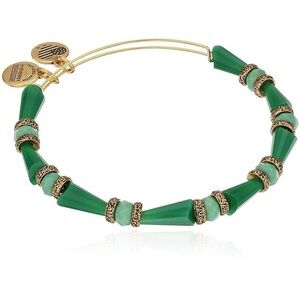 Alex and Ani beaded bangle.